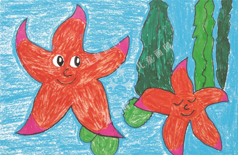 漂亮的海星一家